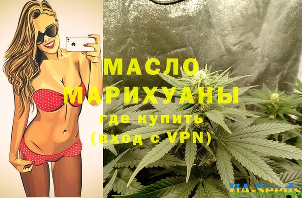гидра Ельня
