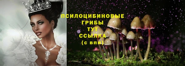 хмурый Беломорск