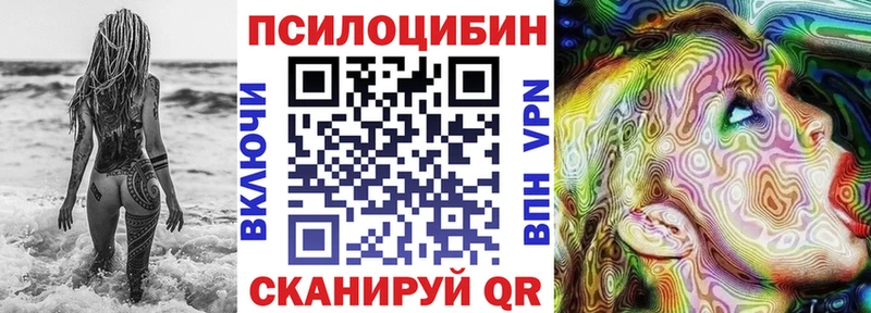Псилоцибиновые грибы Psilocybe  Белый 